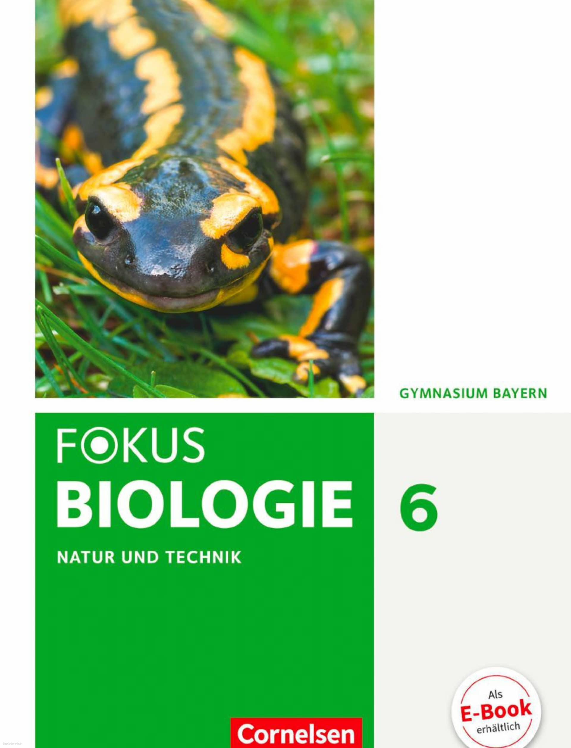 دانلود کتاب آلمانیfokus biologie 6