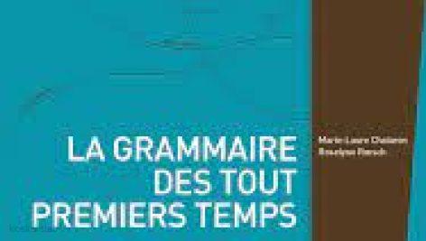 la grammaire des premiers temps a1-a2 pdf