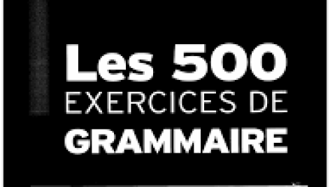 les 500 exercices de grammaire a1 pdf