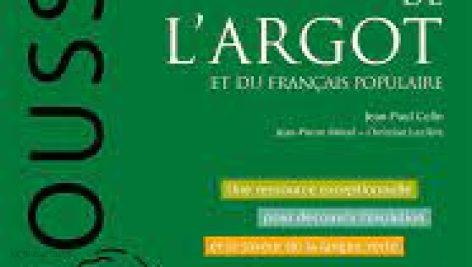 دانلود کتاب فرانسوی Dictionnaire argot français
